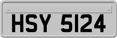 HSY5124