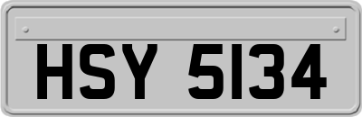 HSY5134