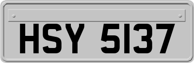 HSY5137