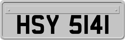 HSY5141