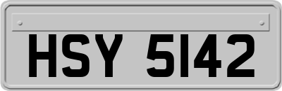 HSY5142