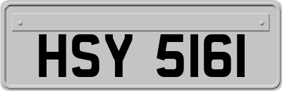 HSY5161