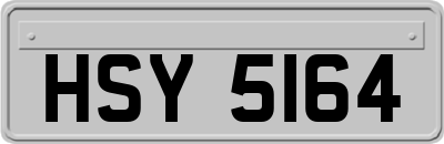HSY5164