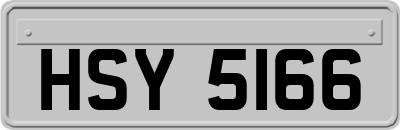 HSY5166