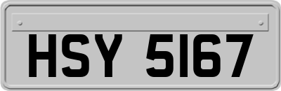 HSY5167