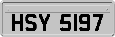 HSY5197