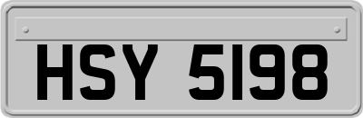 HSY5198