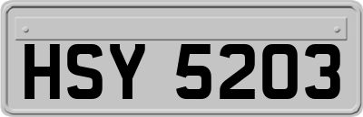 HSY5203