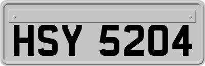 HSY5204
