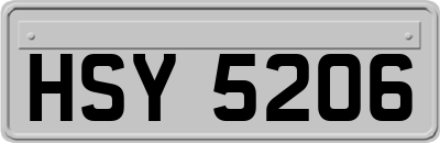 HSY5206