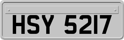HSY5217