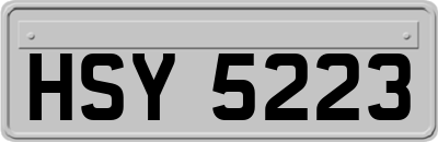 HSY5223