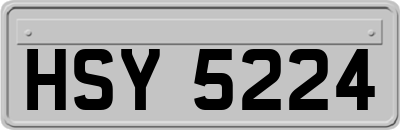 HSY5224
