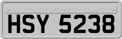 HSY5238