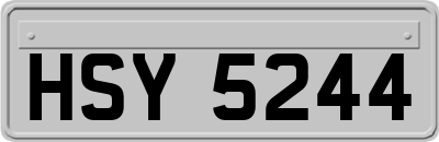 HSY5244