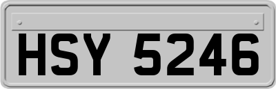 HSY5246