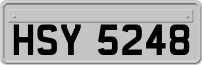 HSY5248
