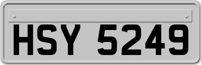 HSY5249
