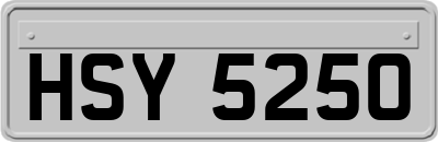 HSY5250