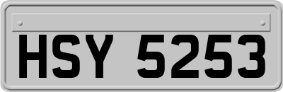 HSY5253