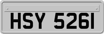 HSY5261