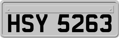 HSY5263