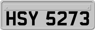 HSY5273