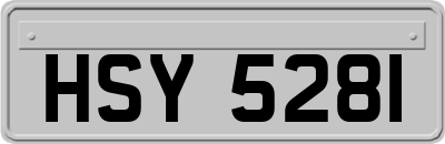 HSY5281