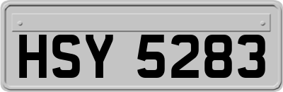 HSY5283