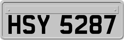HSY5287