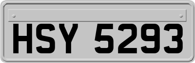 HSY5293