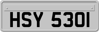 HSY5301