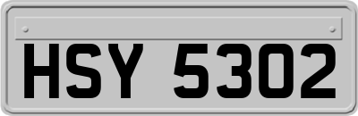 HSY5302