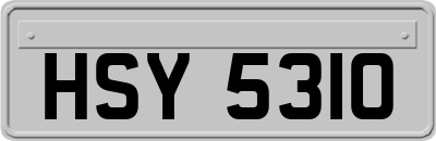 HSY5310