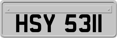 HSY5311