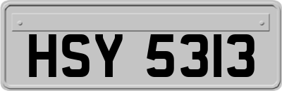 HSY5313