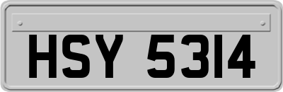 HSY5314