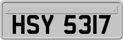 HSY5317