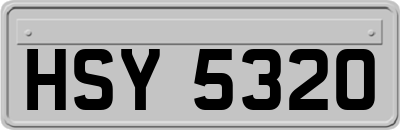 HSY5320