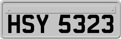HSY5323