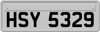 HSY5329