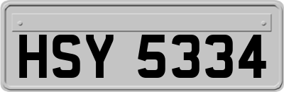 HSY5334