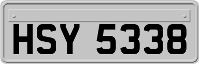 HSY5338