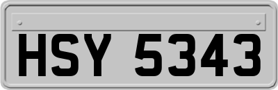 HSY5343