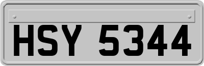 HSY5344