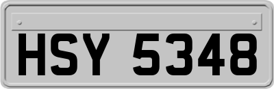 HSY5348