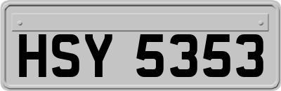 HSY5353