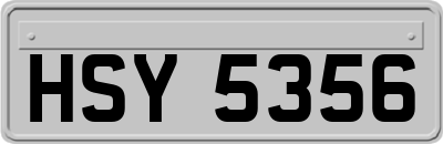 HSY5356