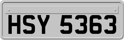 HSY5363