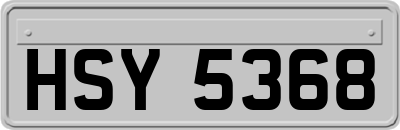 HSY5368